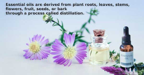 An image of some vials of essential oils with flowers around them to essential oils for pain relief.