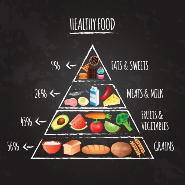 Food Pyramid