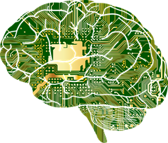 Brainspotting is a new and growing therapy that helps a person process and release trauma and emotional/body pain by finding eye positions associated with traumatic memories stored in the brain.