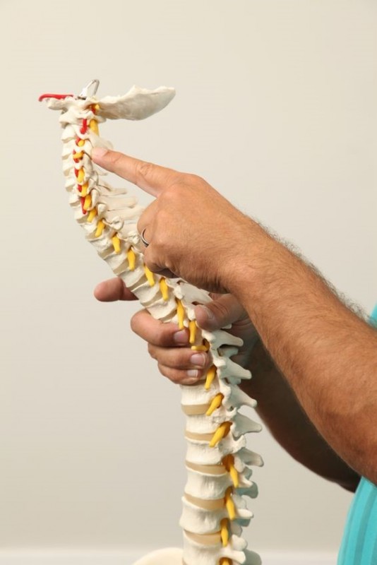 Chiropractic