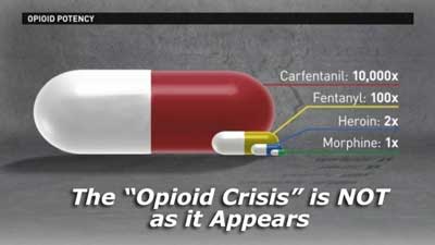 The Opioid Crisis