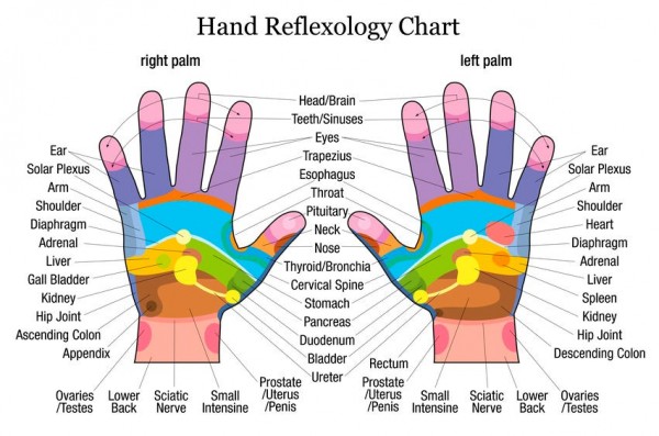 Chronic Pain Resources