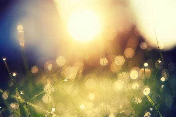 An image of natural balls of light in a blurred background to talk about what it means to have hope when it comes to health.